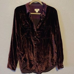 Maeve Anthropologie Velvet Button Down. Burgundy, holiday festive wear.